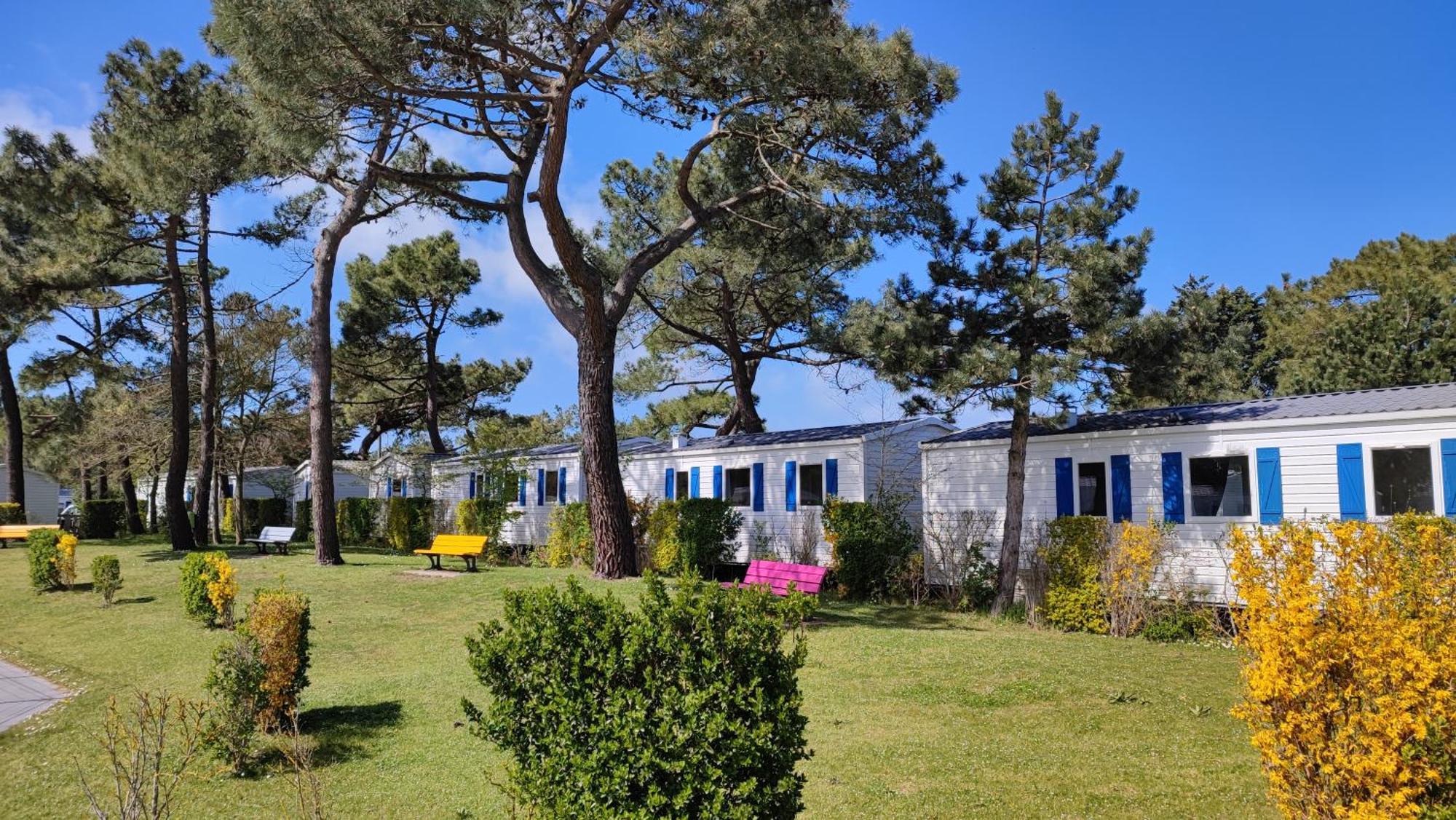 Camping Paradis Les Galets De La Molliere カイユー・シュル・メール エクステリア 写真